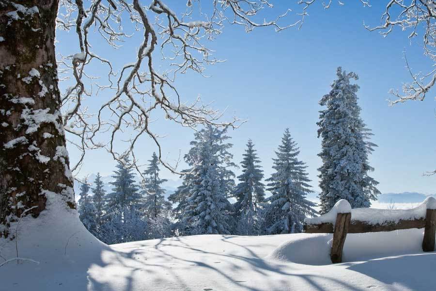 src, 星火燎原 src, 星火燎原