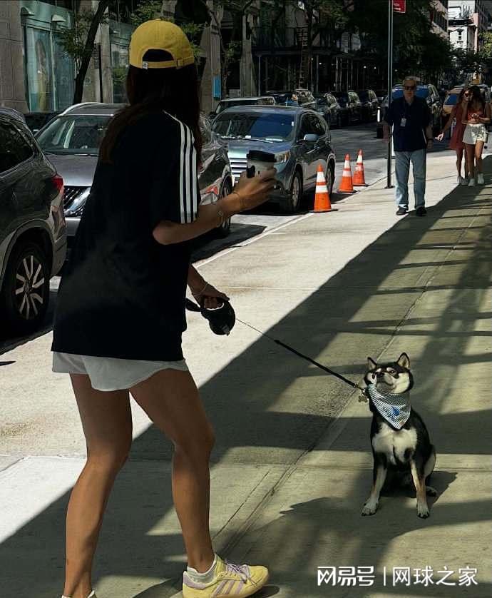 令人心碎的, 卡白多娟, net 令人心碎的, 卡白多娟, net